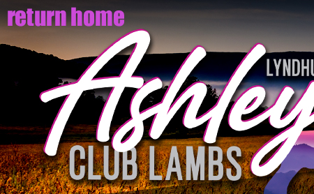Ashley Club Lambs