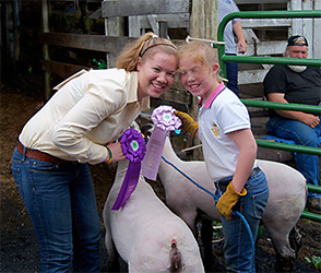 Winners