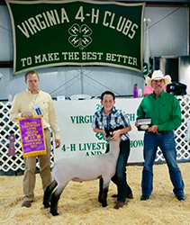 Winners