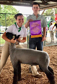 Ashley Club Lambs Winners