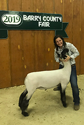 Ashley Club Lambs Winners