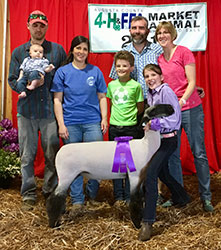 Ashley Club Lambs Winners