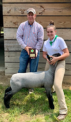 Ashley Club Lambs Winners