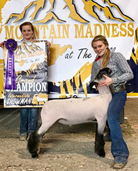 Ashley CLub Lambs Winners