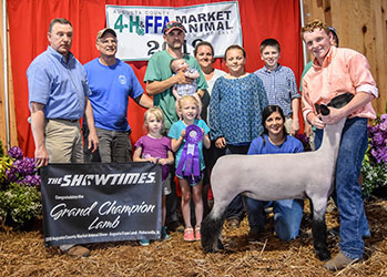 Ashley Club Lambs Winners