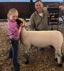 Ashley CLub Lambs Winners