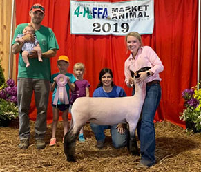 Ashley CLub Lambs Winners