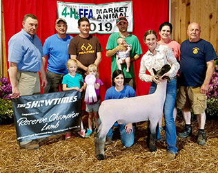 Ashley CLub Lambs Winners