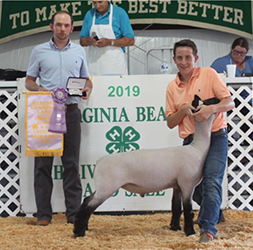 Ashley Club Lambs Winners