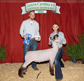 Ashley Club Lambs